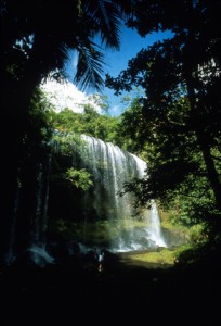 Ngardmau waterfall, Palau Photograph property of the Palau Visitors Authority