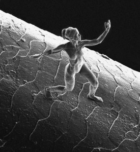 tiny-sculpture