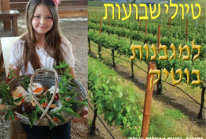 טיולי שבועות 2017 כותרת3